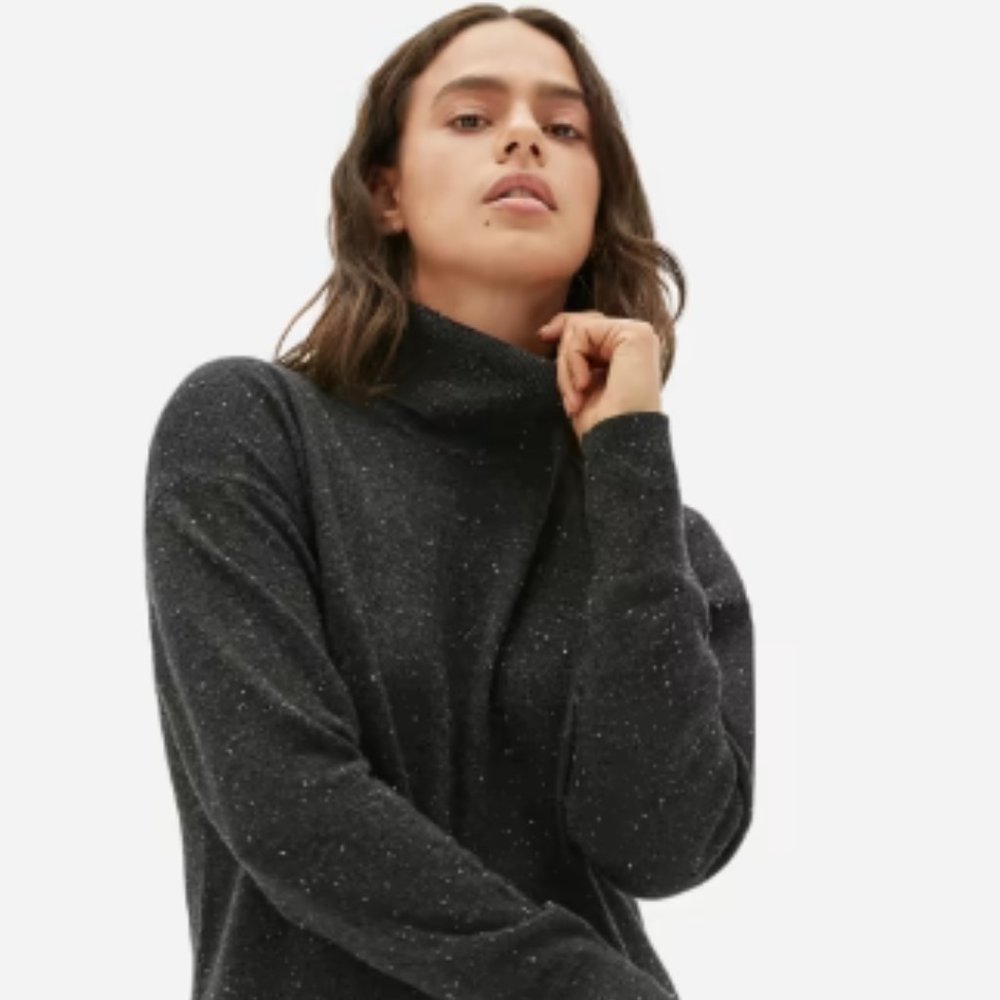 Everlane The Cashmere Turtleneck Dress